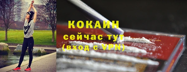 скорость Богданович